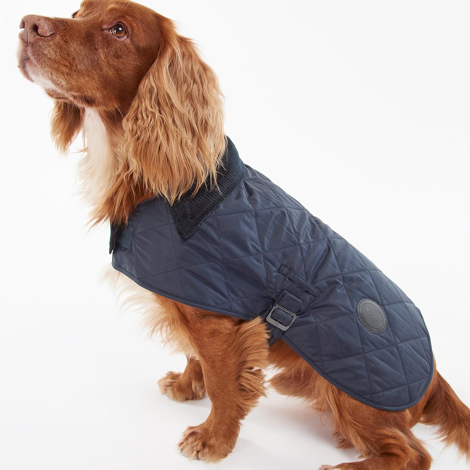 Barbour Dogs NAVY / XS Quilted Dog Coat