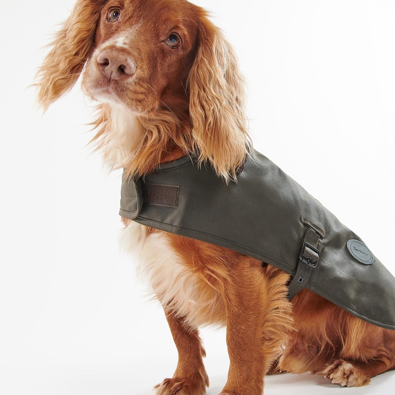 Barbour Dogs Olive / S Barbour Wax Dog Coat