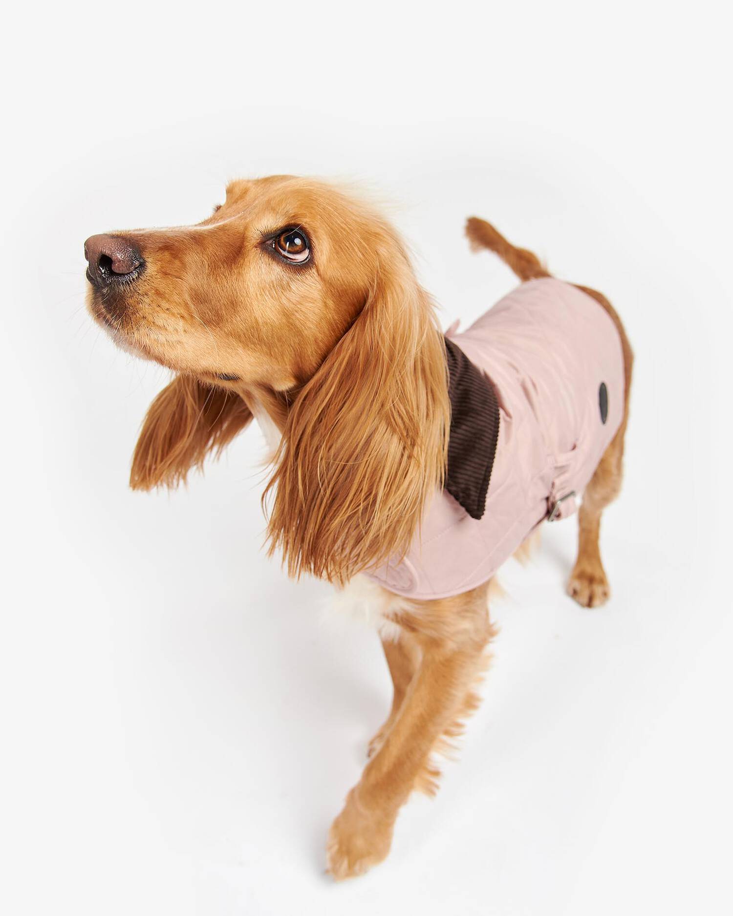 犬服・アクセサリー Barbour quilted dog coat Barbour Quilted Dog Coat – M. Dumas and Sons