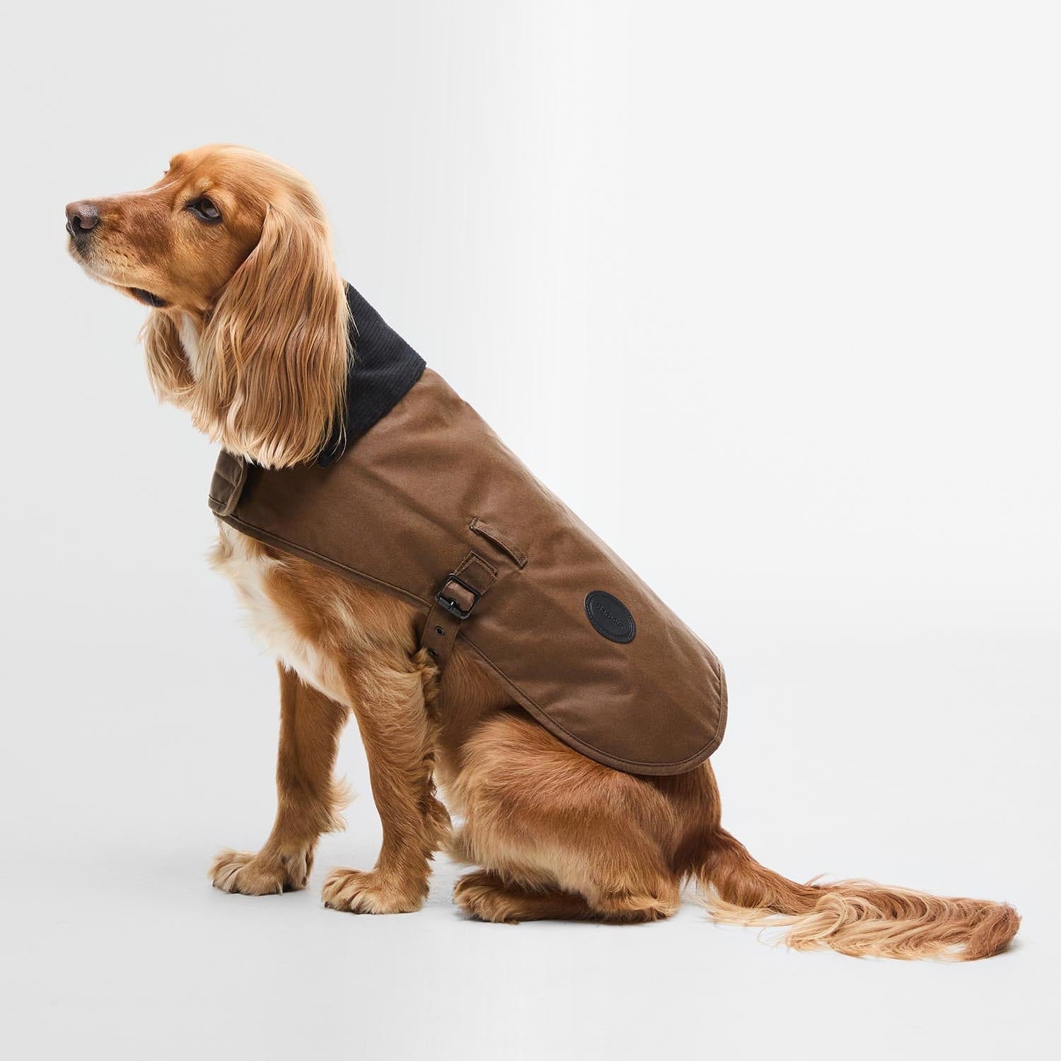 Barbour Dogs TA51 / S Barbour Wax Dog Coat
