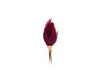 Brackish Pocket Square Match Me Lapel Pin