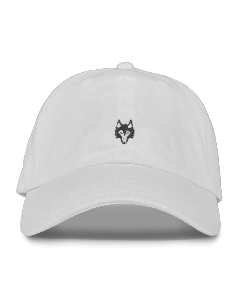 Greyson Clothiers Hats Icon Dad Hat - Arctic