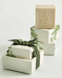 The Thymes Home WHITE / OS Frasier Fir Bar Soap and Dish Set