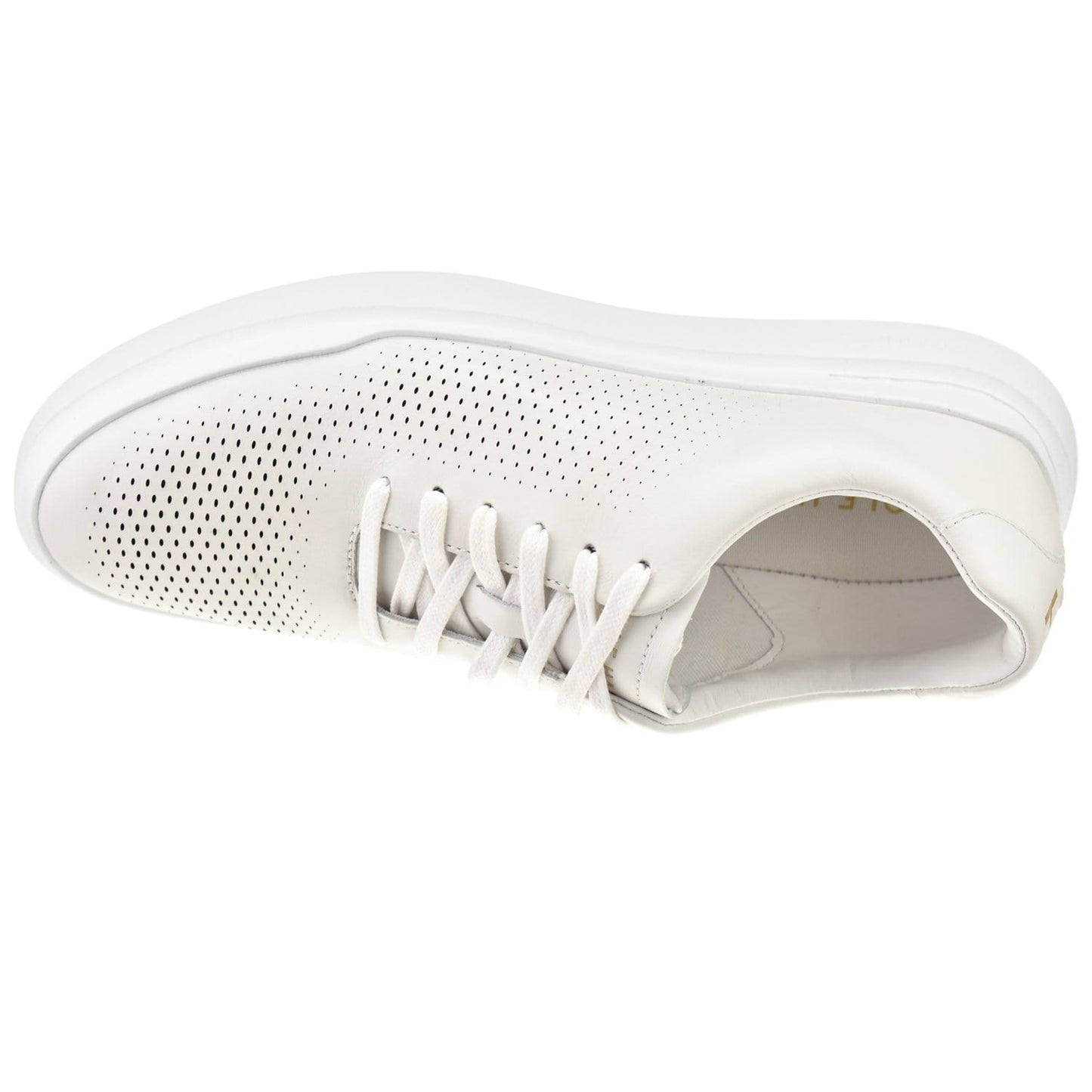 Cole Haan Shoes Grandpro Rally Laser Cut Sneaker