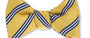 Gold/Navy Brooks Stripes Bow Tie