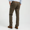 Gold School Chino- Dark Olive