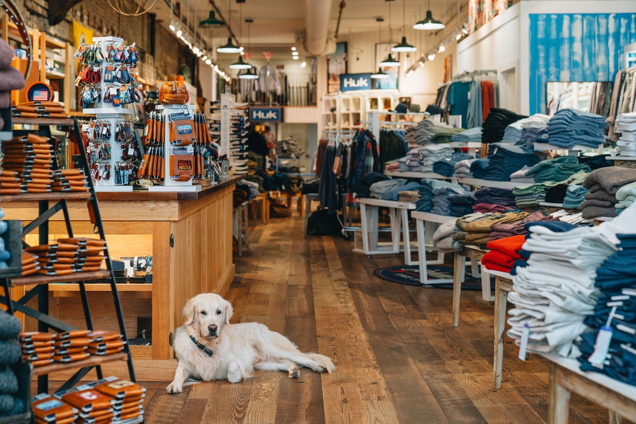 Dog sitting on a wooden floor in a store with clothing and shelves.