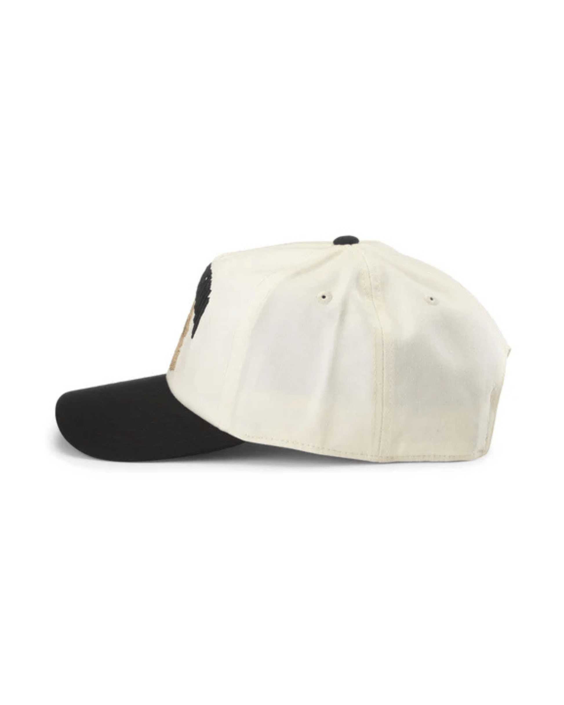 American Needle Hats Liquid Death Roscoe Twill Hat