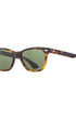 American Optical Sunglasses Saratoga Polarized Sunglasses in Tortoise
