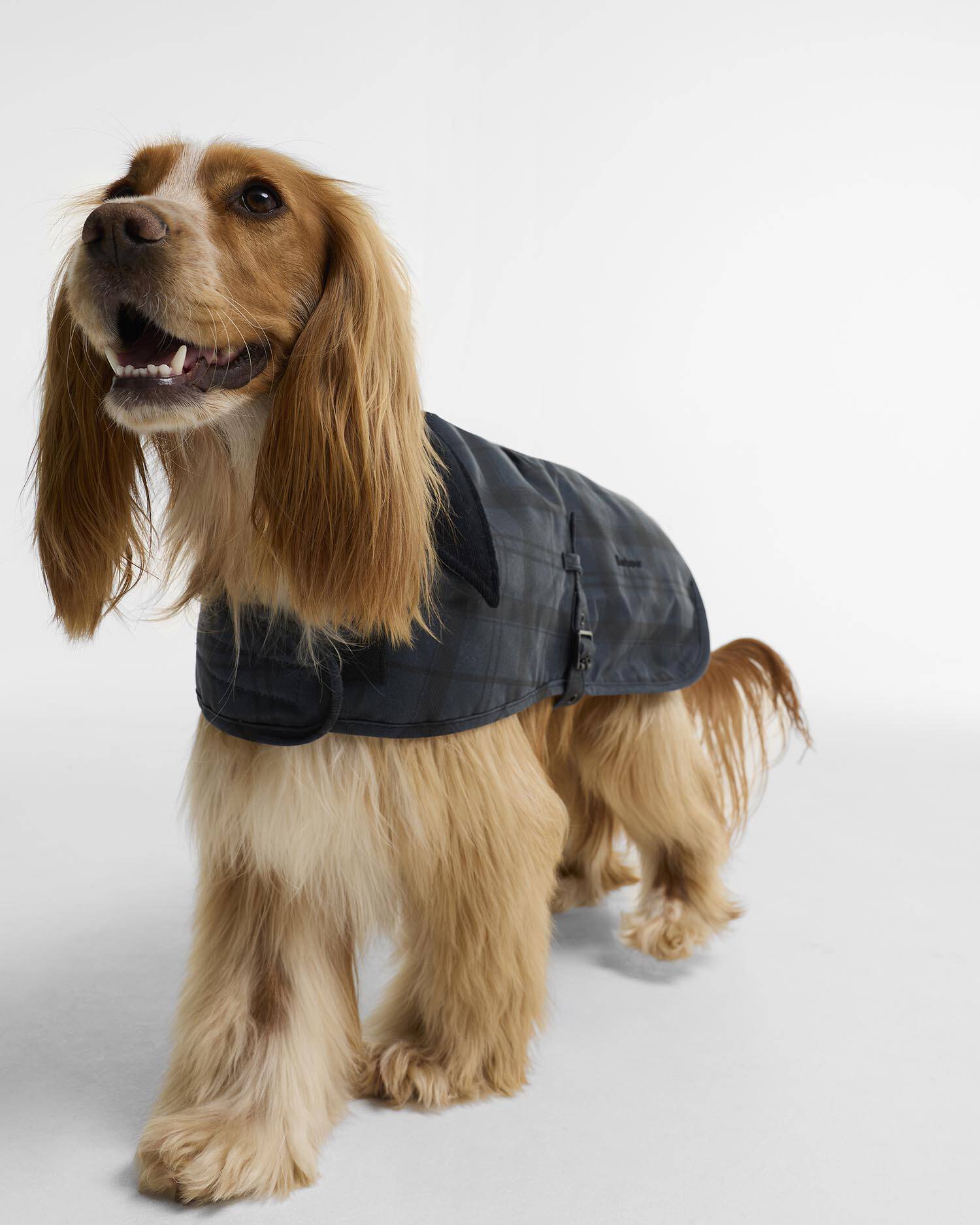 Barbour Dogs Ambleside Waxed Dog Coat