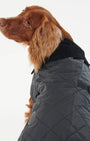 Barbour Dogs BK91 / S Quilted Dog Coat