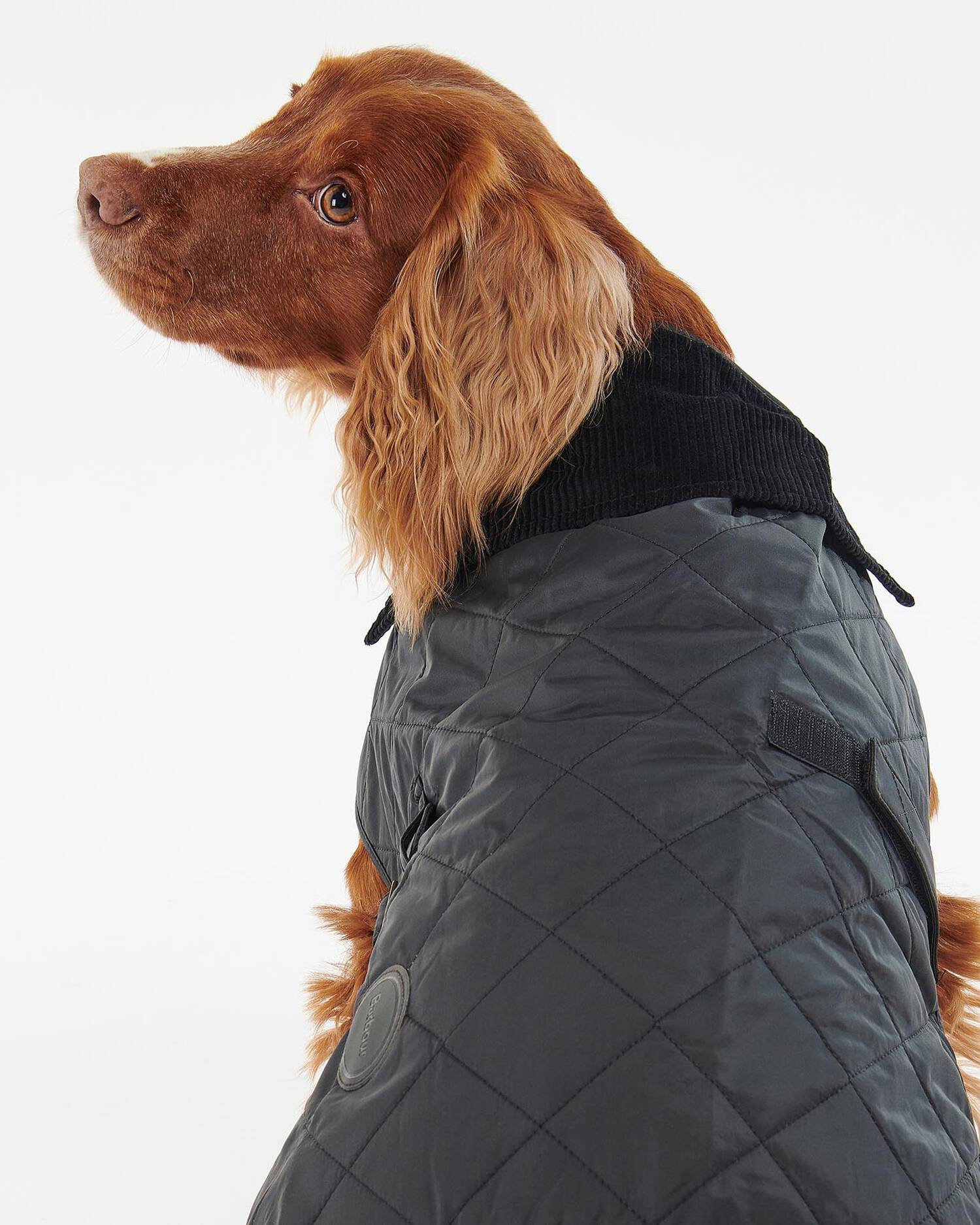Barbour Dogs BK91 / S Quilted Dog Coat