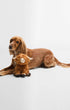 Barbour Dogs BR111 / OS Highland Cow Dog Toy