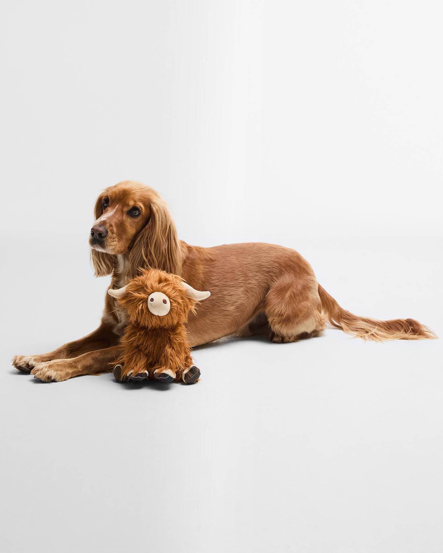Barbour Dogs BR111 / OS Highland Cow Dog Toy