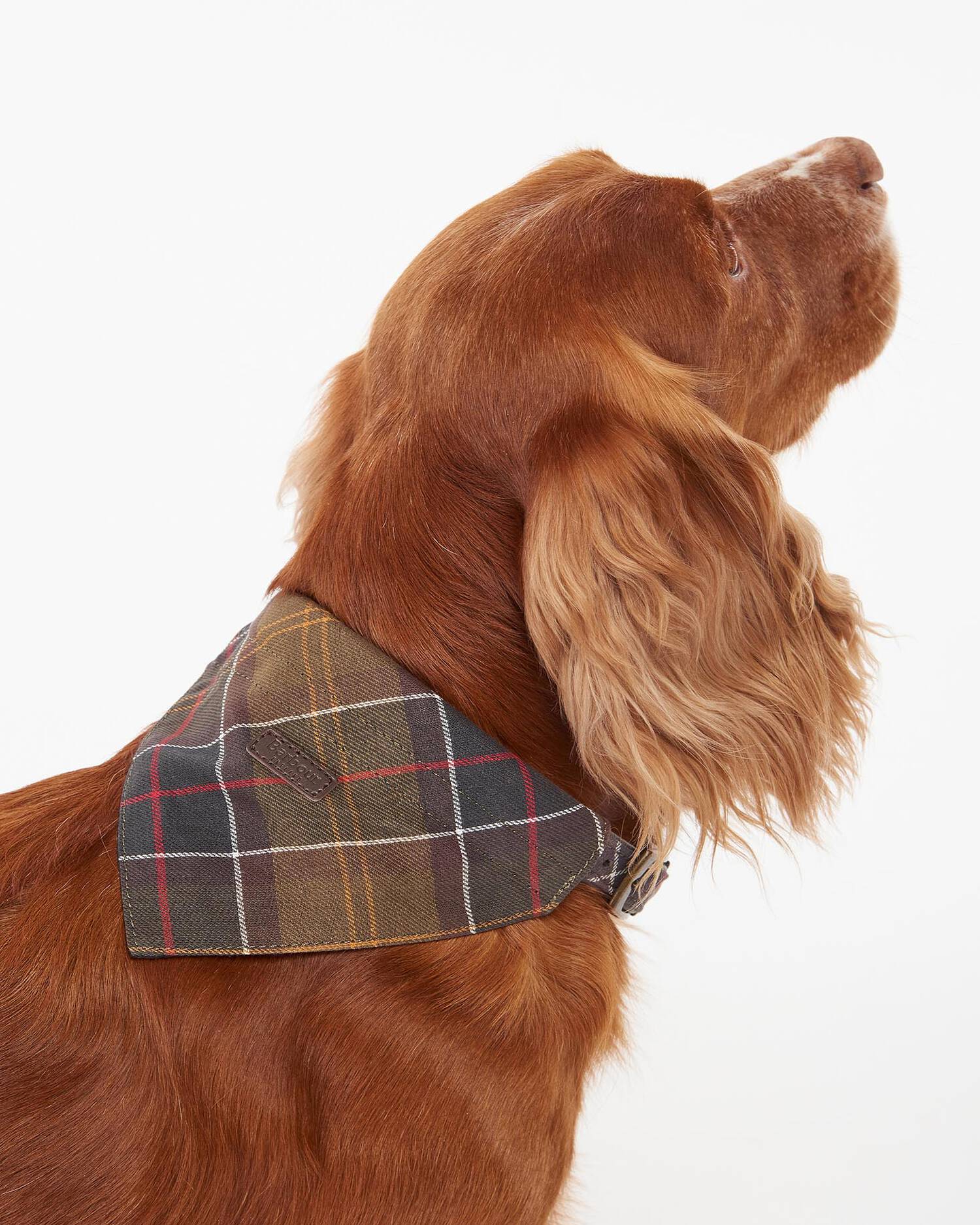 Barbour Dogs Dog Tartan Bandana