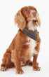 Barbour Dogs Dog Tartan Bandana