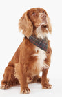 Barbour Dogs Dog Tartan Bandana