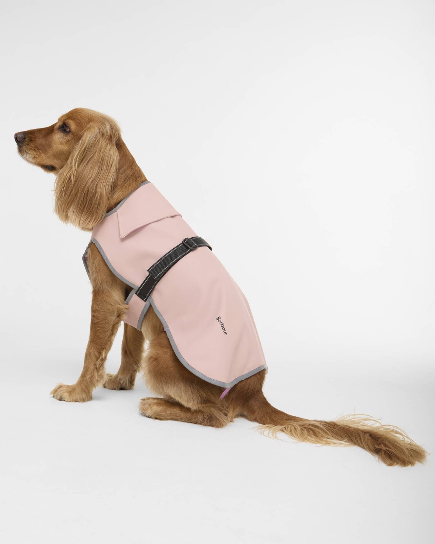 Barbour Dogs Evie Waterproof Dog Coat