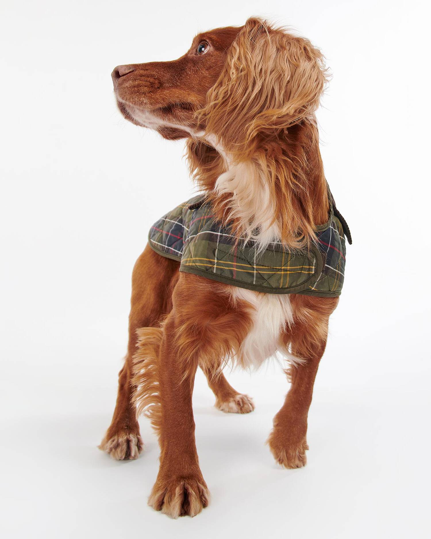 Barbour Dogs M Packable Tartan Dog Coat