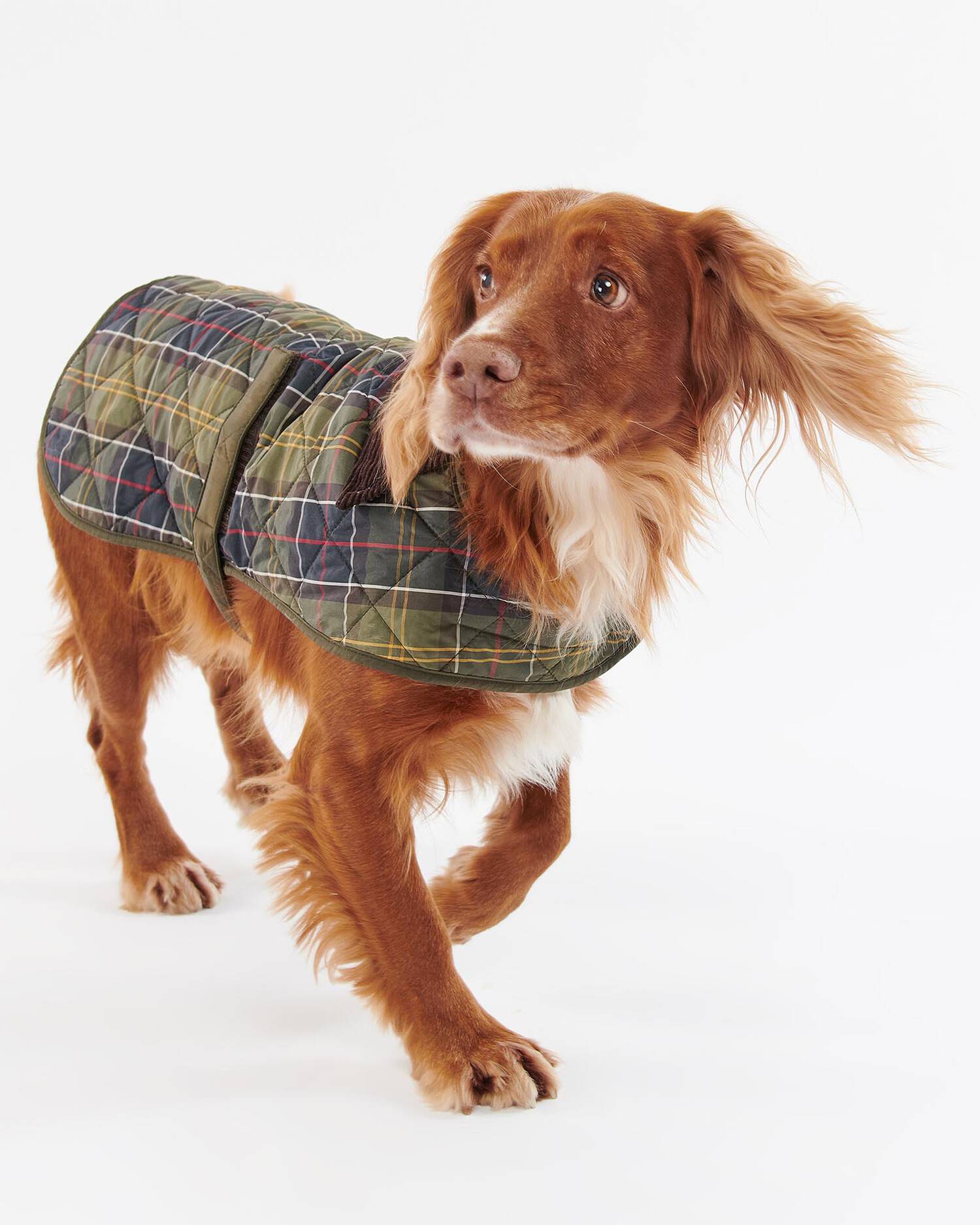 Barbour Dogs M Packable Tartan Dog Coat
