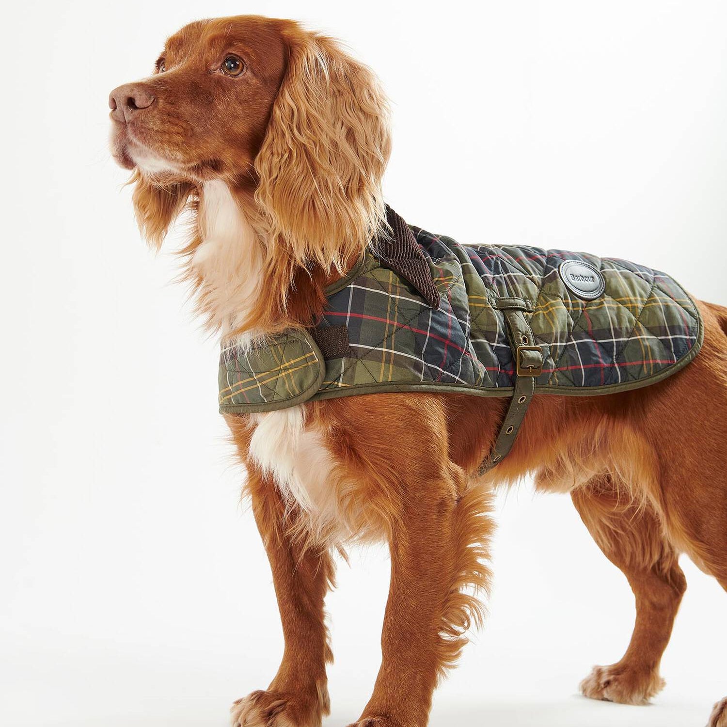 Barbour Dogs M Packable Tartan Dog Coat