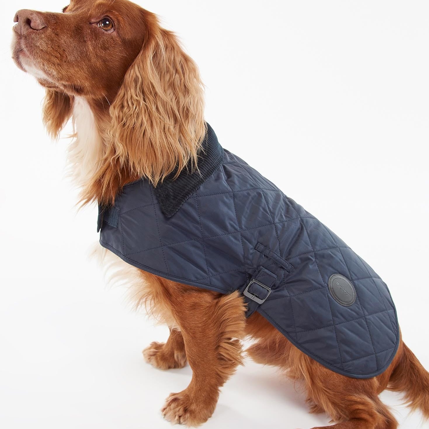 Barbour Dogs NAVY / XS Quilted Dog Coat