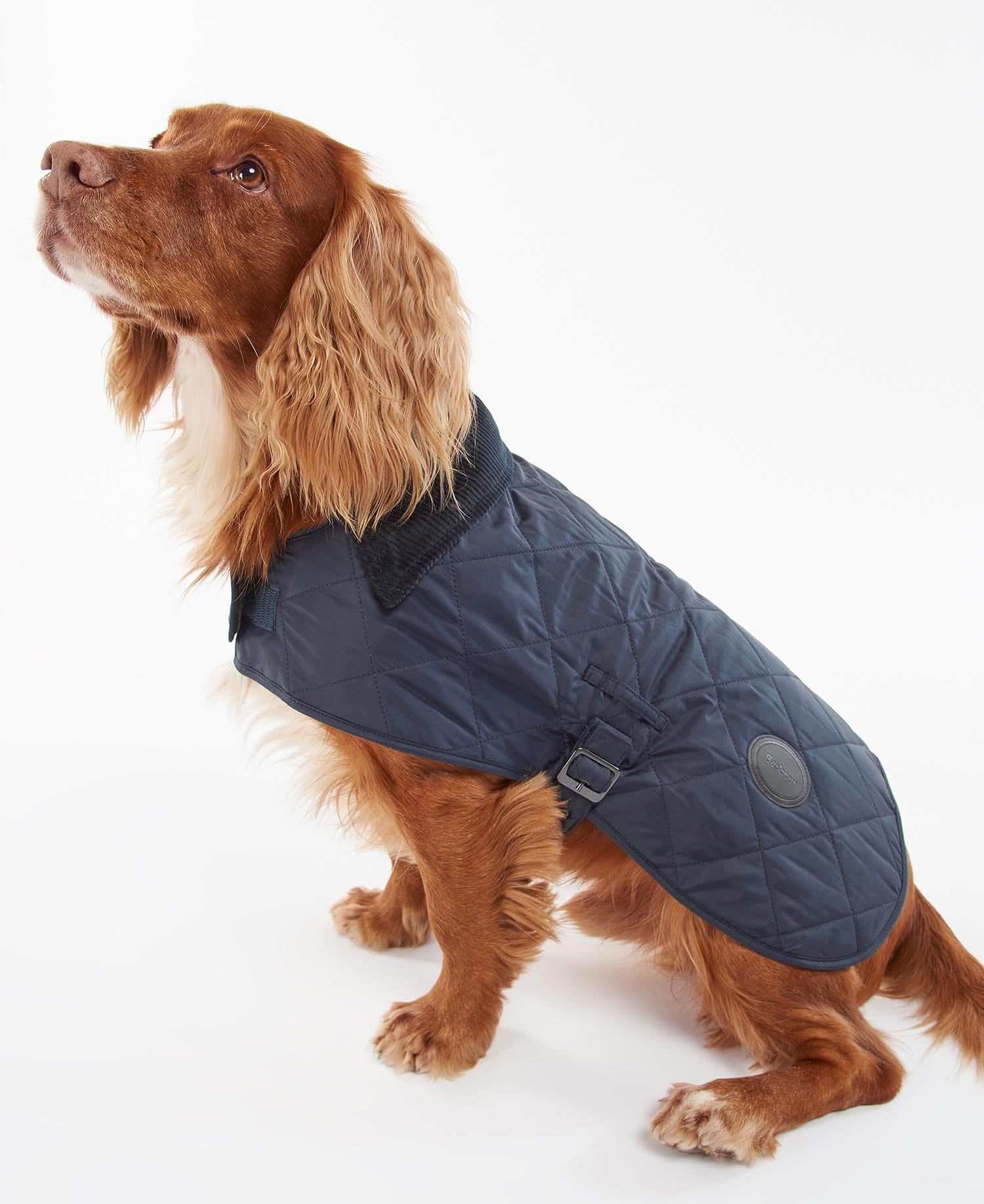 Barbour Dogs NAVY / XS Quilted Dog Coat