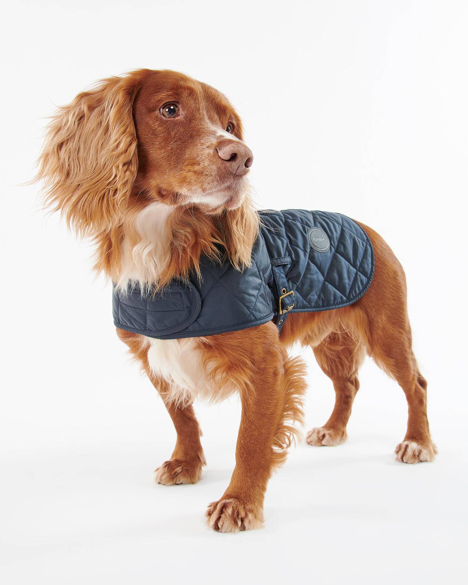Barbour Dogs NAVY / XS Quilted Dog Coat