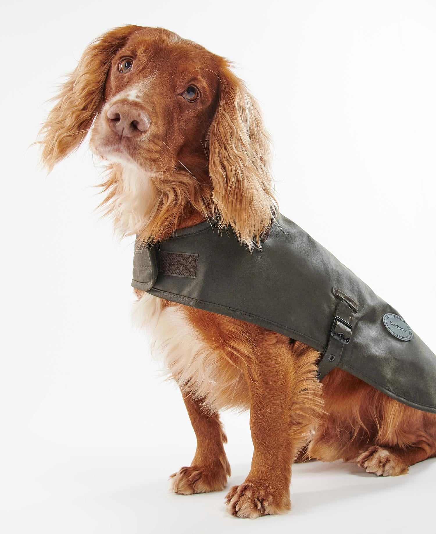 Barbour Dogs Olive / S Barbour Wax Dog Coat