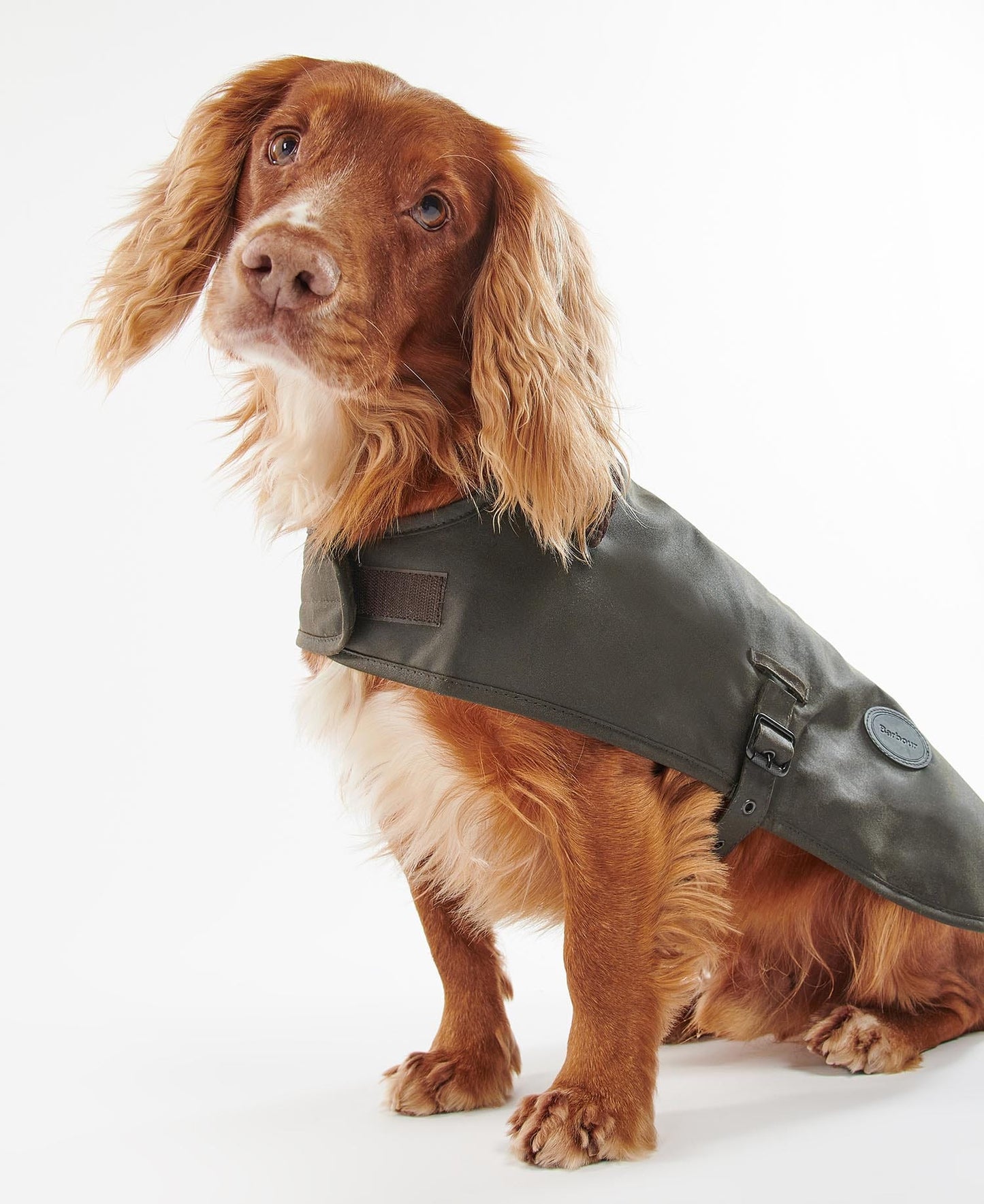 Barbour Dogs Olive / S Barbour Wax Dog Coat