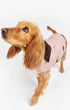 Barbour Dogs PI12 / XS Quilted Dog Coat