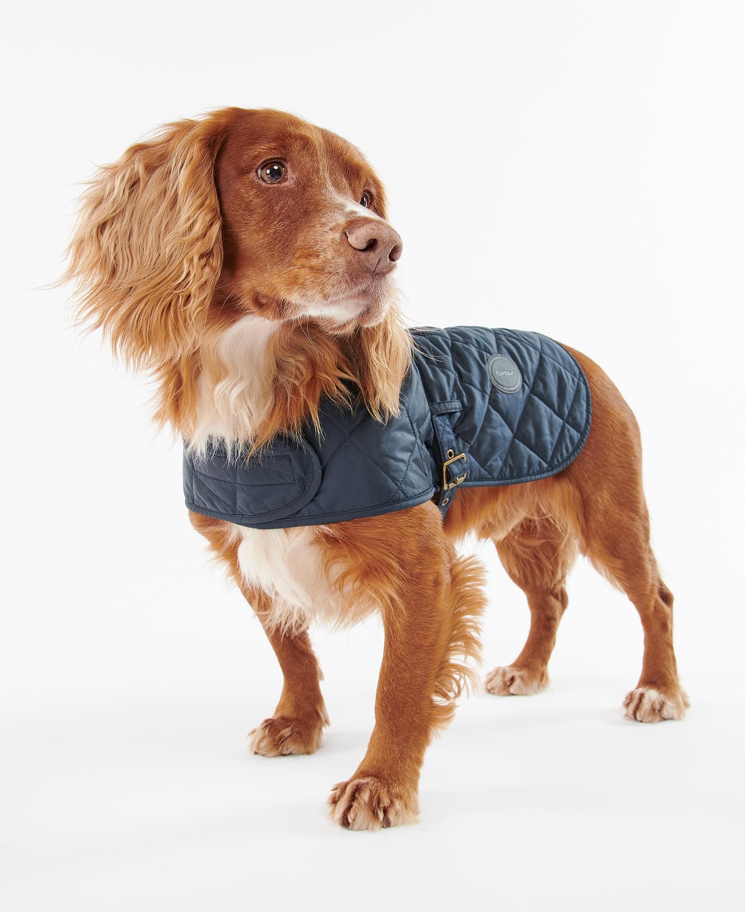Barbour Dogs Quilted Dog Coat