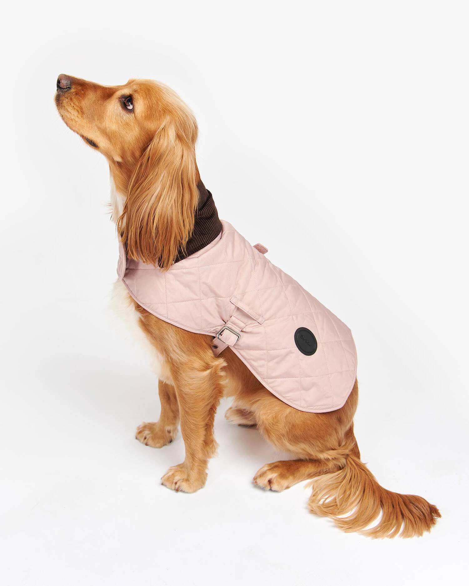 Barbour Dogs Quilted Dog Coat