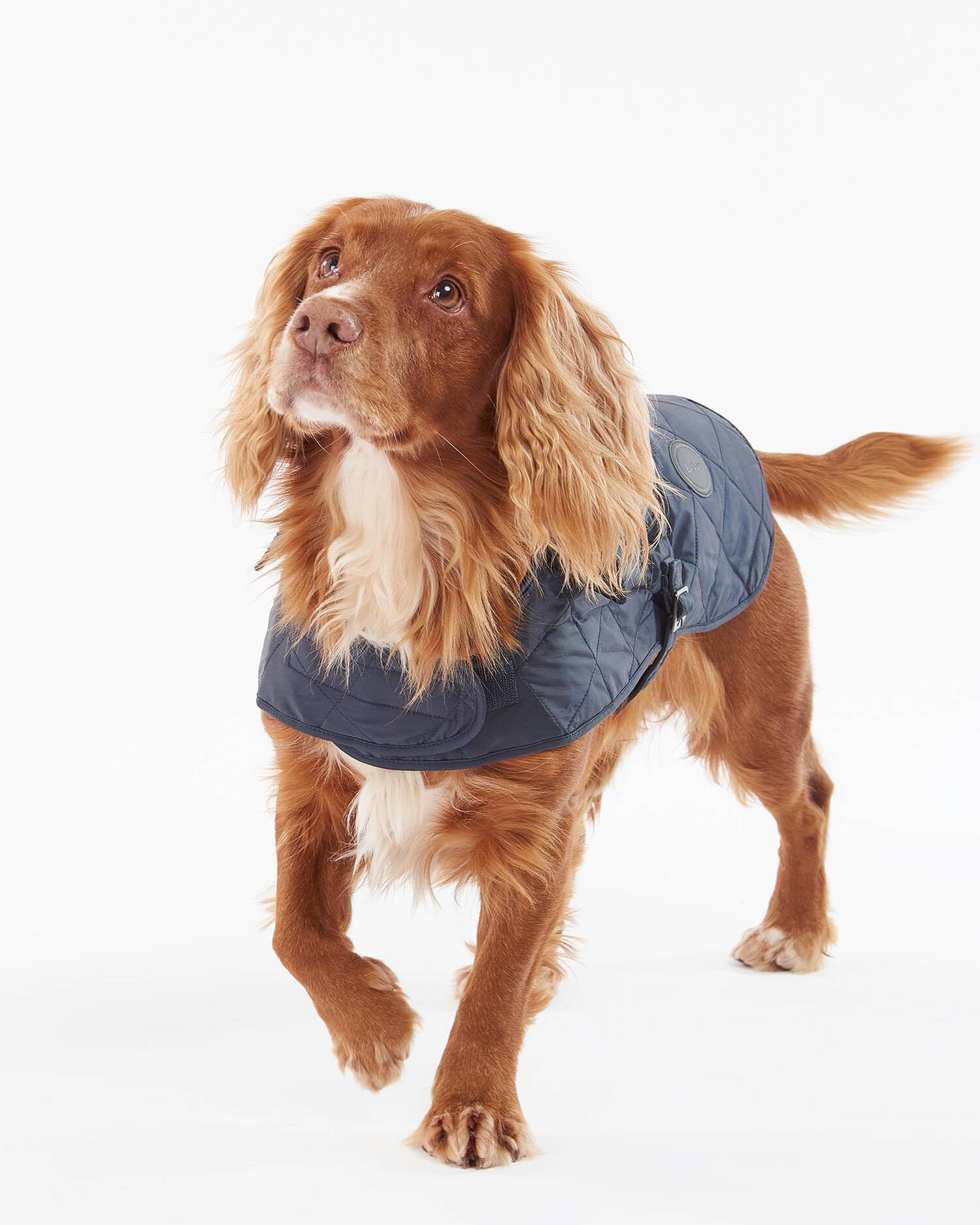 犬服・アクセサリー Barbour quilted dog coat Barbour Quilted Dog Coat – M. Dumas and Sons