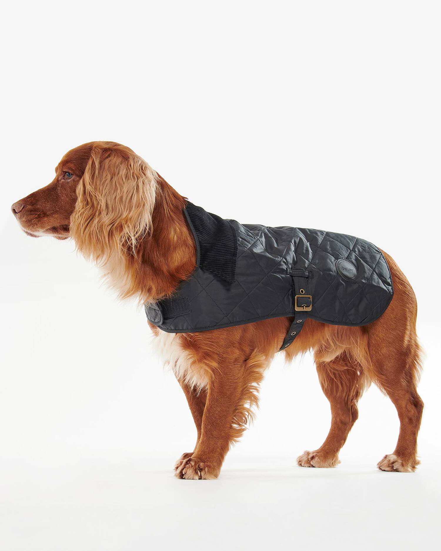 Barbour Quilted Dog Coat – M. Dumas and Sons