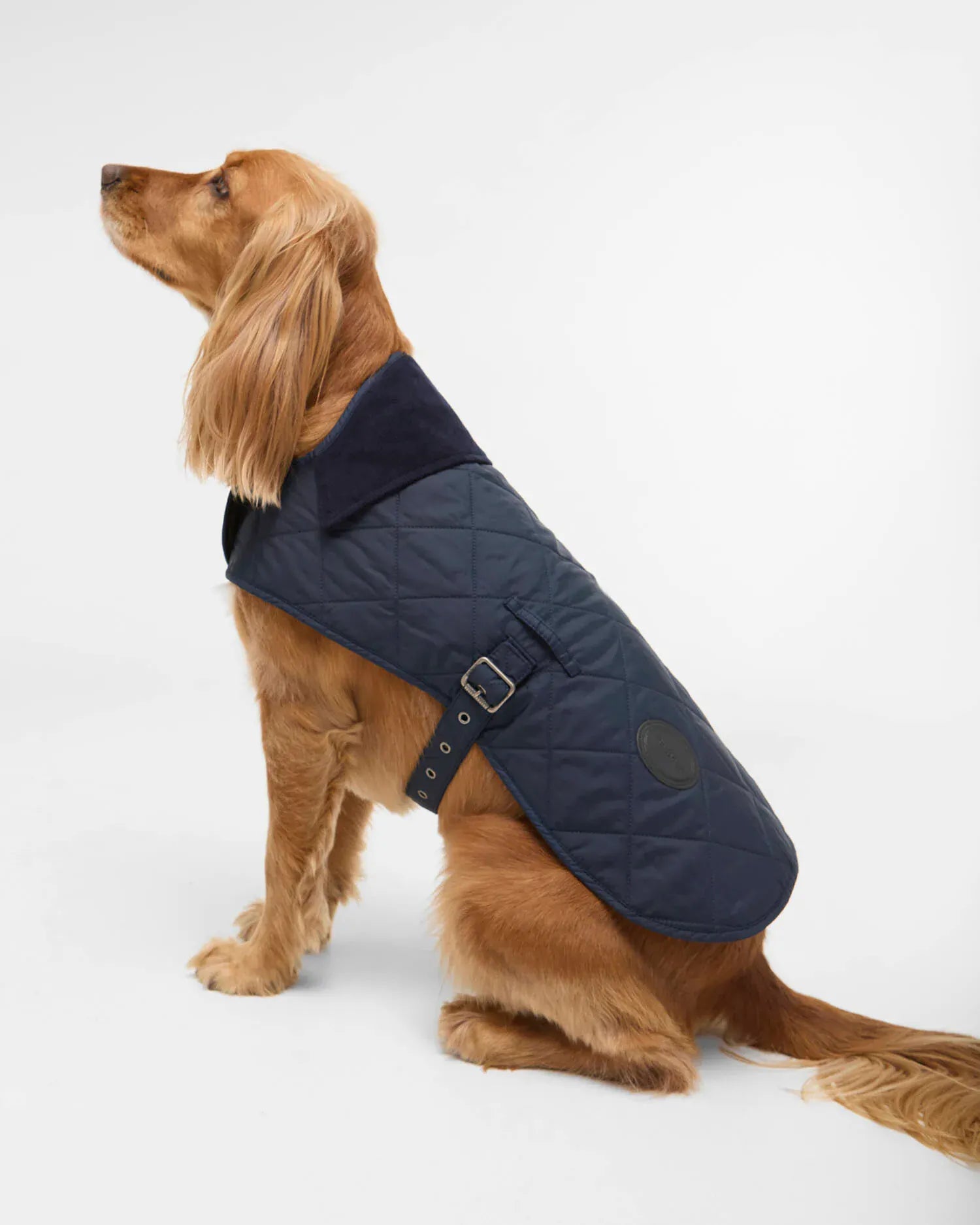 Barbour Dogs Quilted Dog Coat