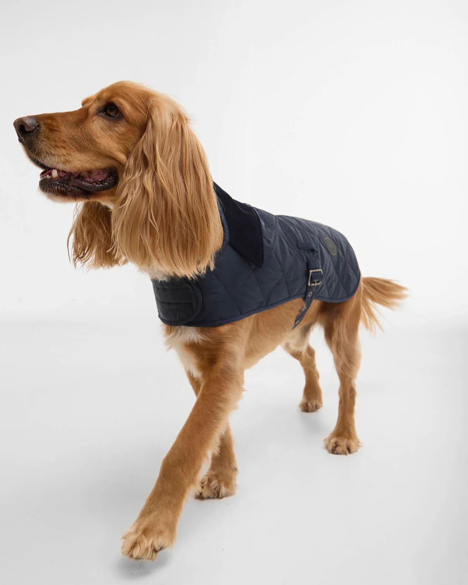 Barbour Dogs Quilted Dog Coat