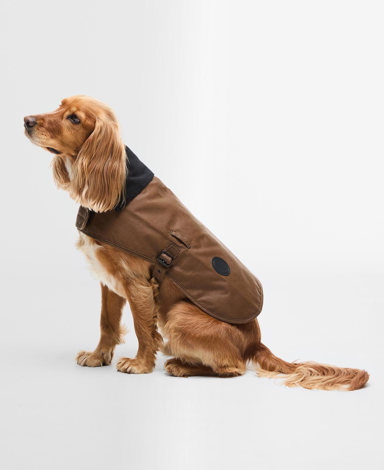 Barbour Dogs TA51 / S Barbour Wax Dog Coat