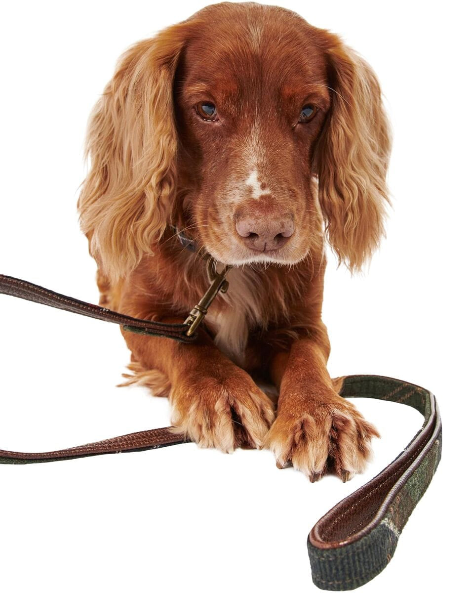 Barbour Dogs TART / OS Tartan Reflective Dog Lead