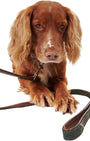 Barbour Dogs TART / OS Tartan Reflective Dog Lead