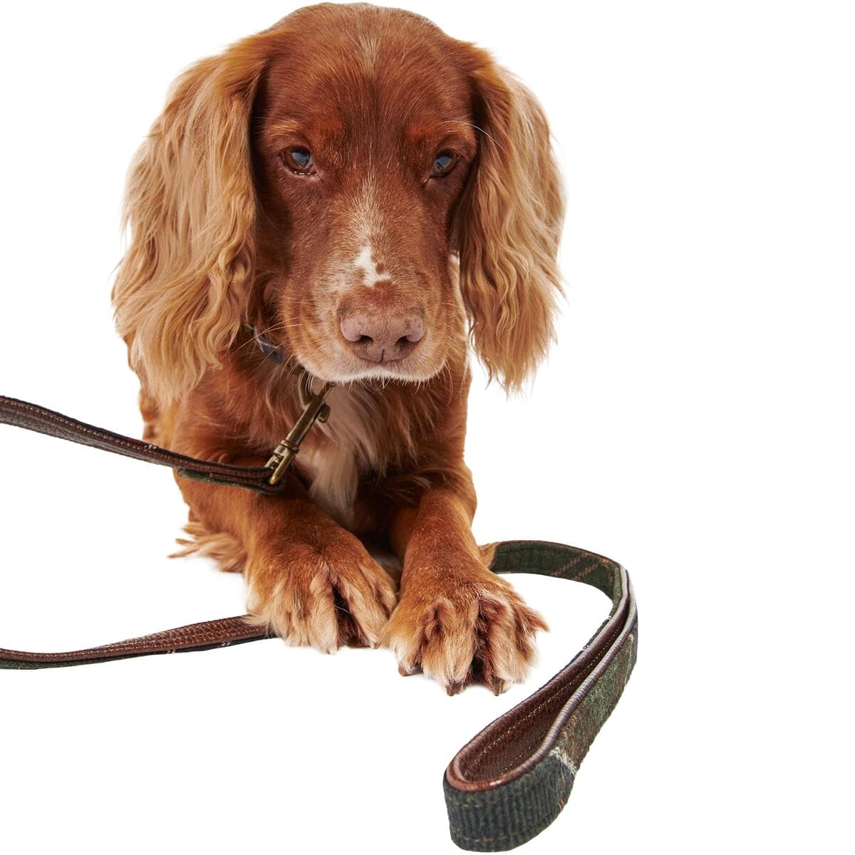 Barbour Dogs TART / OS Tartan Reflective Dog Lead