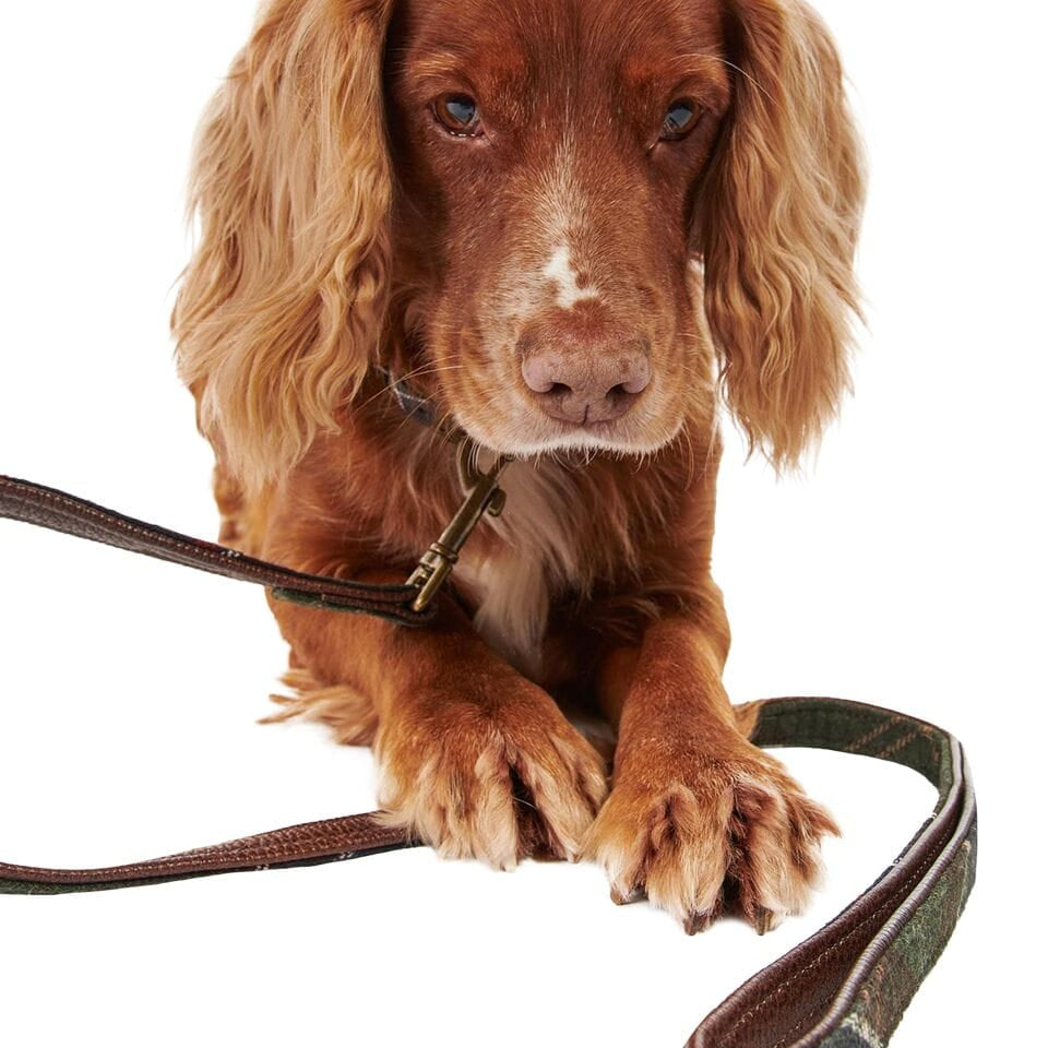 Barbour Dogs TART / OS Tartan Reflective Dog Lead