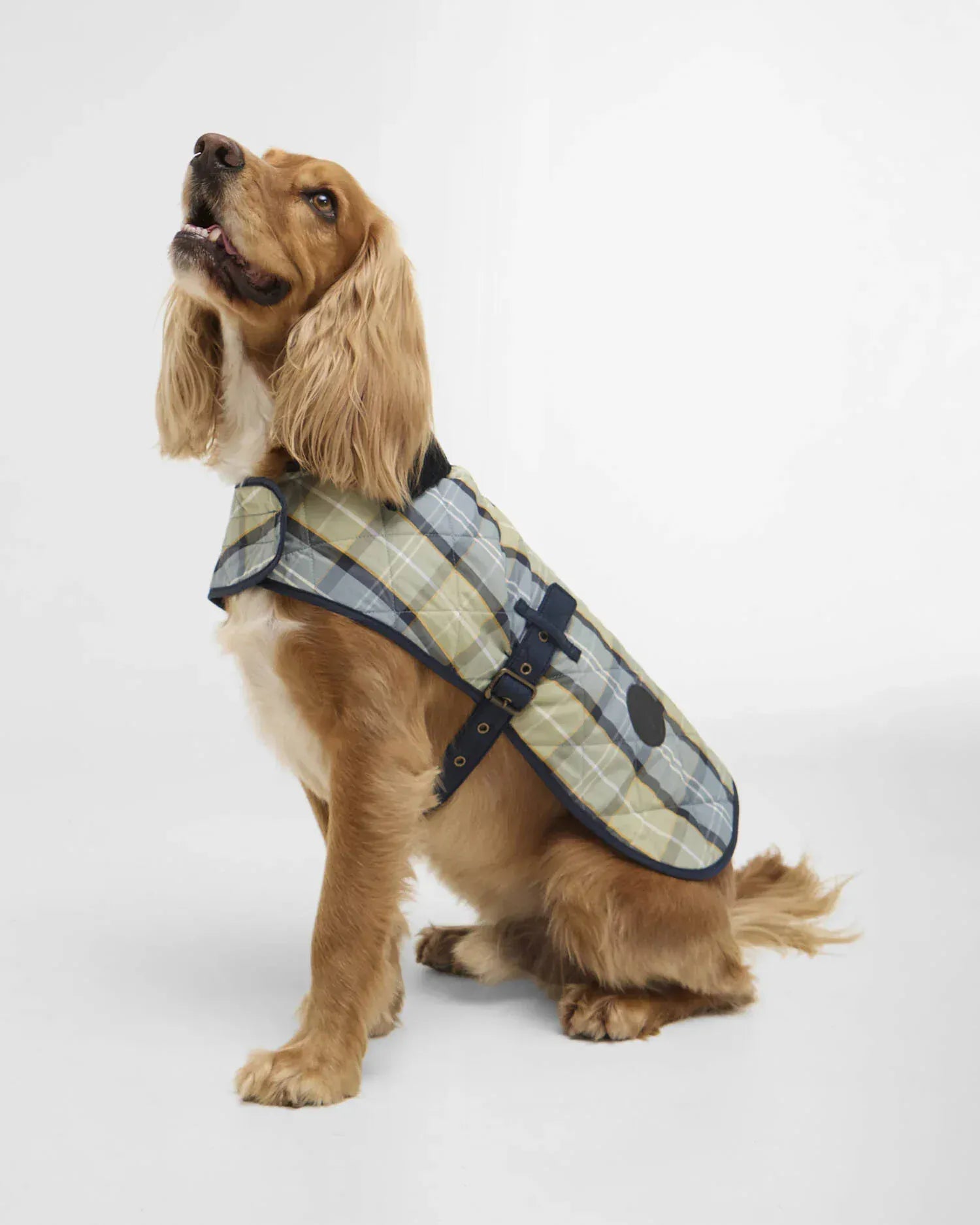 Barbour Dogs Tartan Dog Coat in Highland Loch Tartan