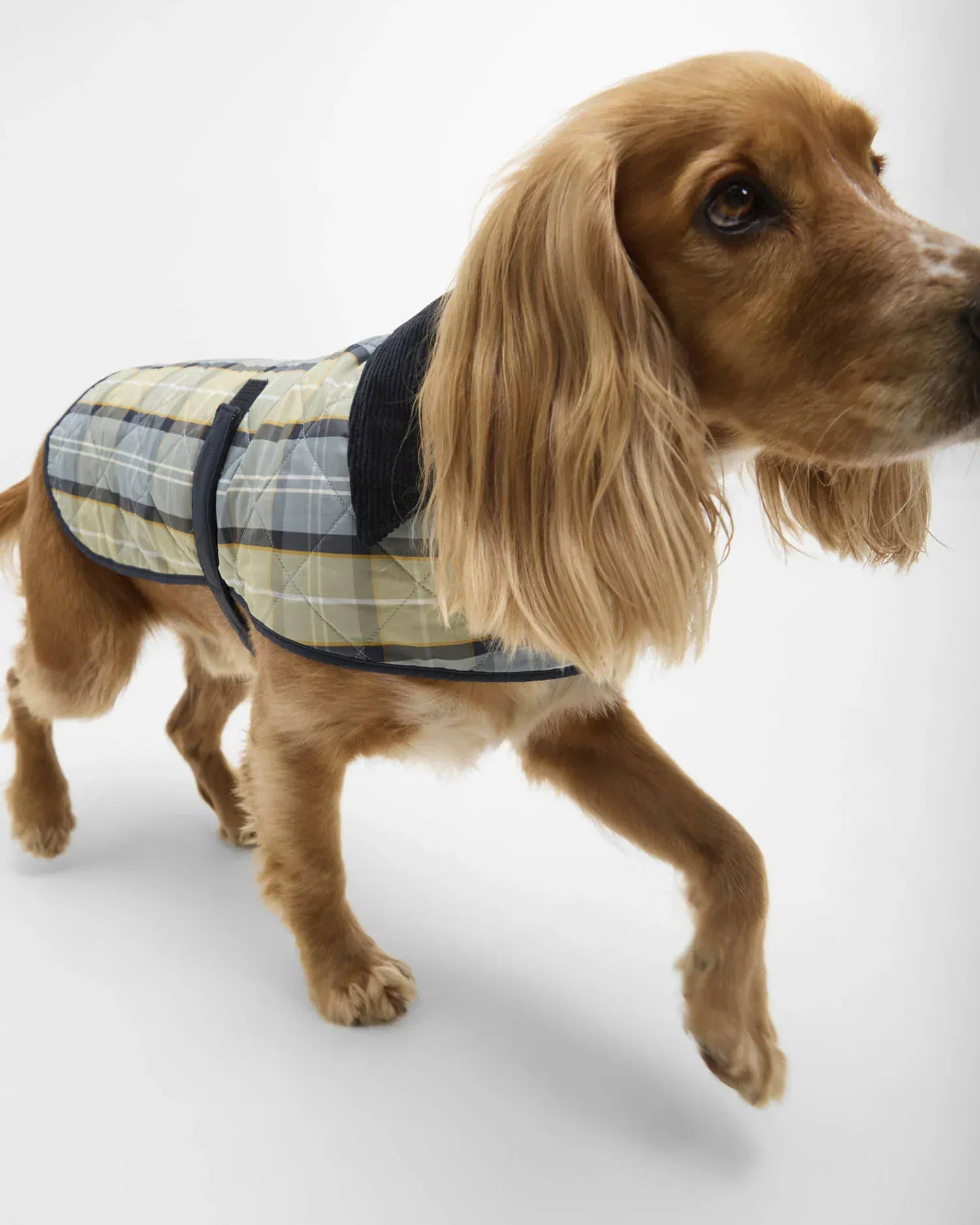 Barbour Dogs Tartan Dog Coat in Highland Loch Tartan