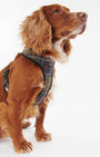 Barbour Dogs Tartan Dog Harness