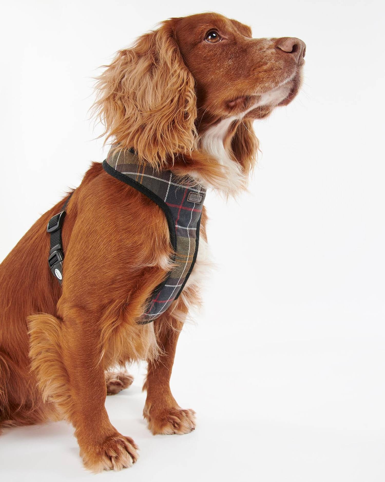 Barbour Dogs Tartan Dog Harness