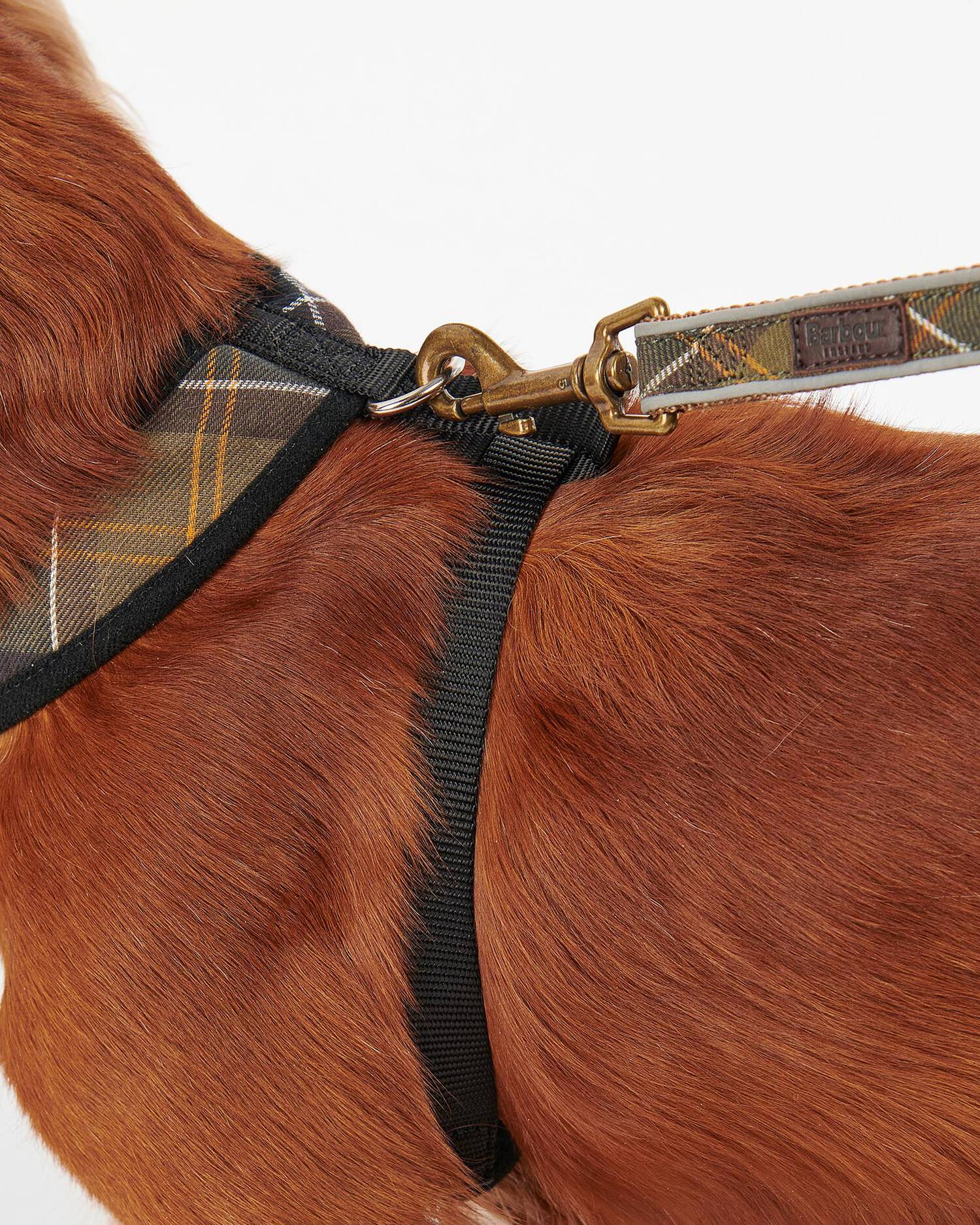 Barbour Dogs Tartan Dog Harness