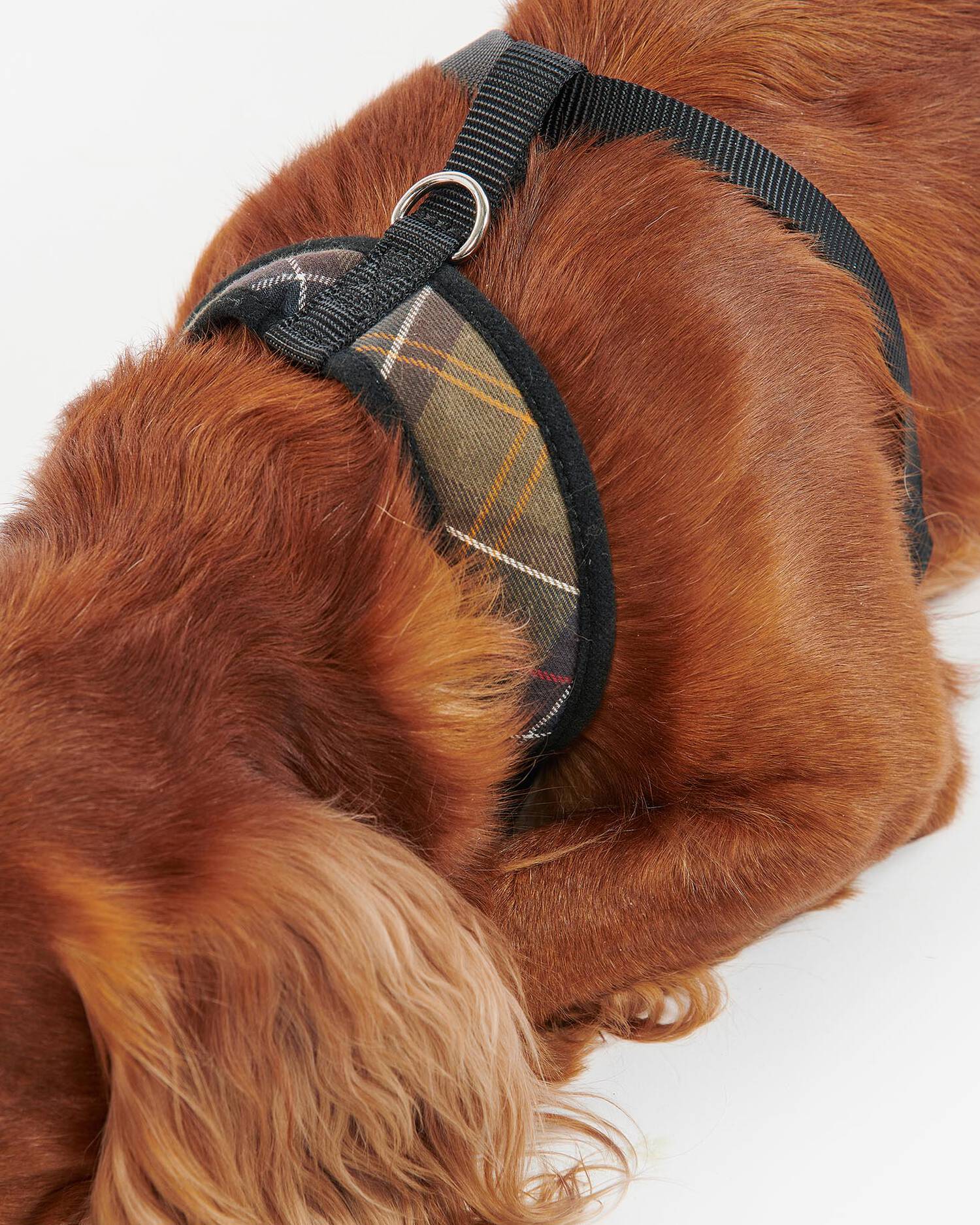 Barbour Dogs Tartan Dog Harness
