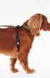 Barbour Dogs Tartan Dog Harness