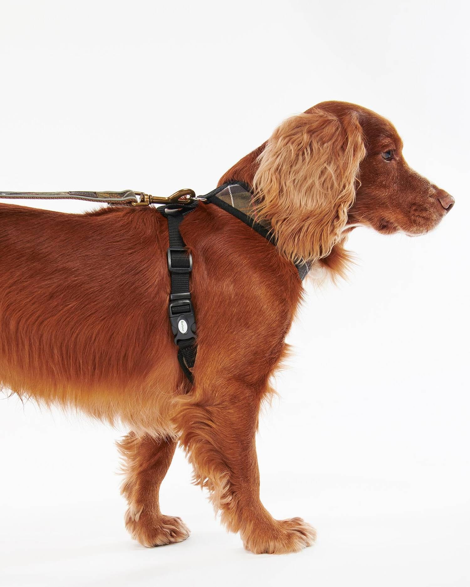Barbour Dogs Tartan Dog Harness